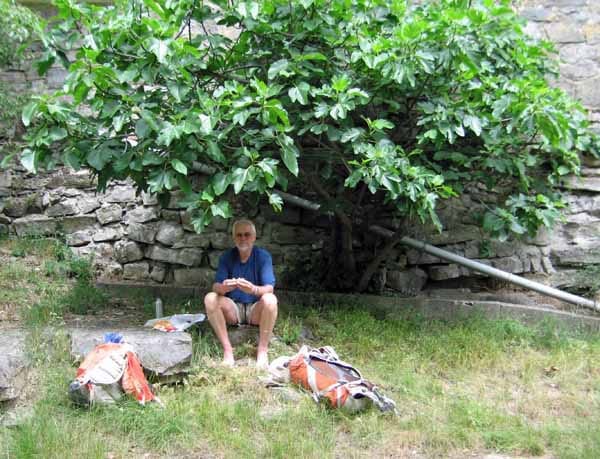 Walking in France: Lunch under a fig tree