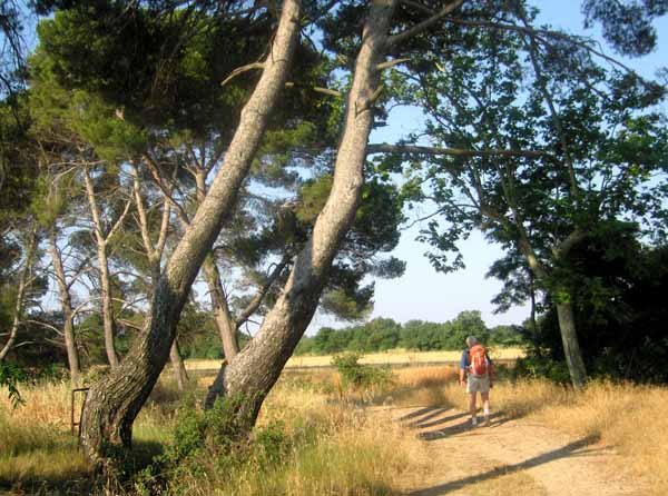 Walking in France: Passing the Domaine de la Jourdane