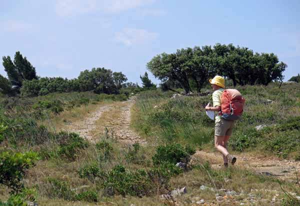 Walking in France: On the garrigue