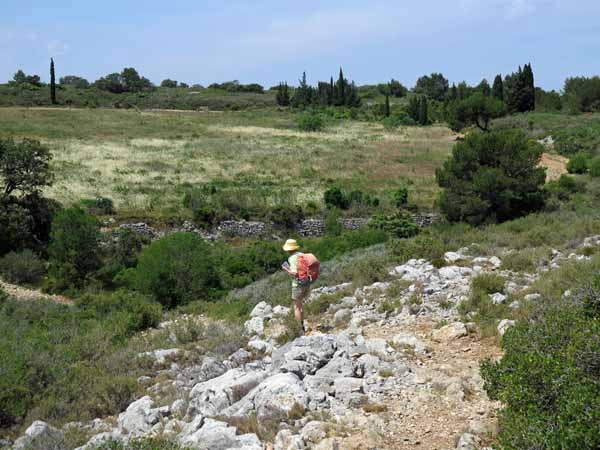 Walking in France: A rocky ravine in the garrigue