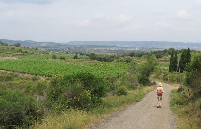 Walking in France: Shortcut to Ferrals-les-Corbières