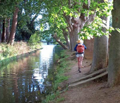 Walking in France: Heading for the Place Carnot and breakfast, Carcassonne