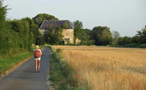 Walking in France: Separated from the Loire by a hedgerow