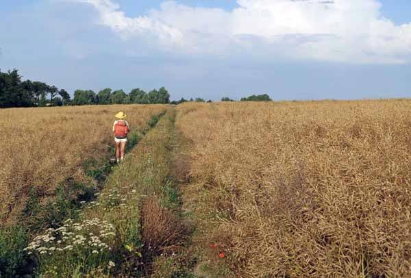 Walking in France: Up a dry hillside