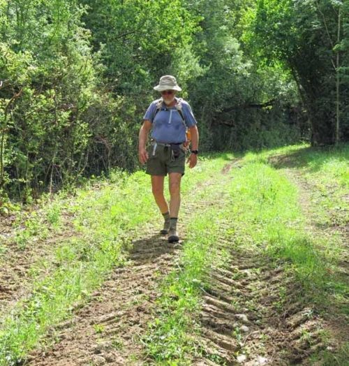 Walking in France: Descending by a short cut to Vesvres