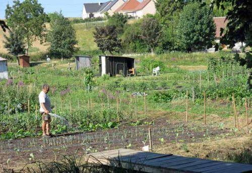 Walking in France: Vegetable gardening