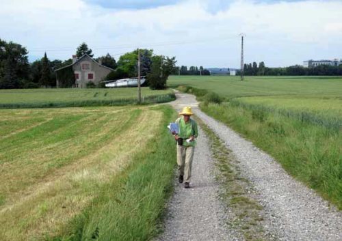 Walking in France: Almost there