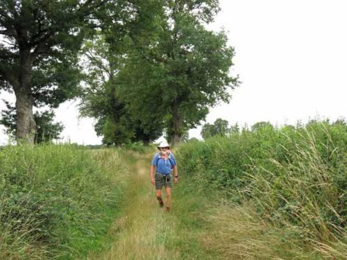 Walking in France: Grassy track