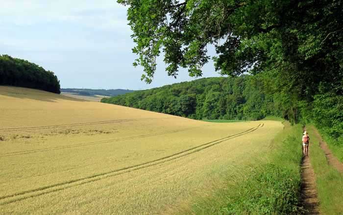 Walking in France: Near Chablis