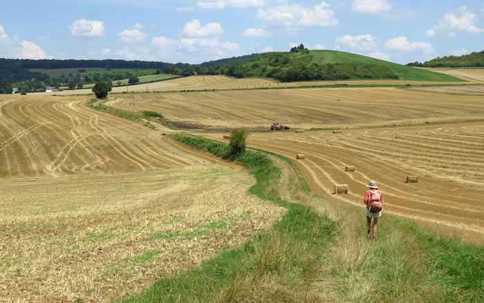 Walking in France: Wheatfields near Châteauneuf-Val-de-Bargis on the GR654