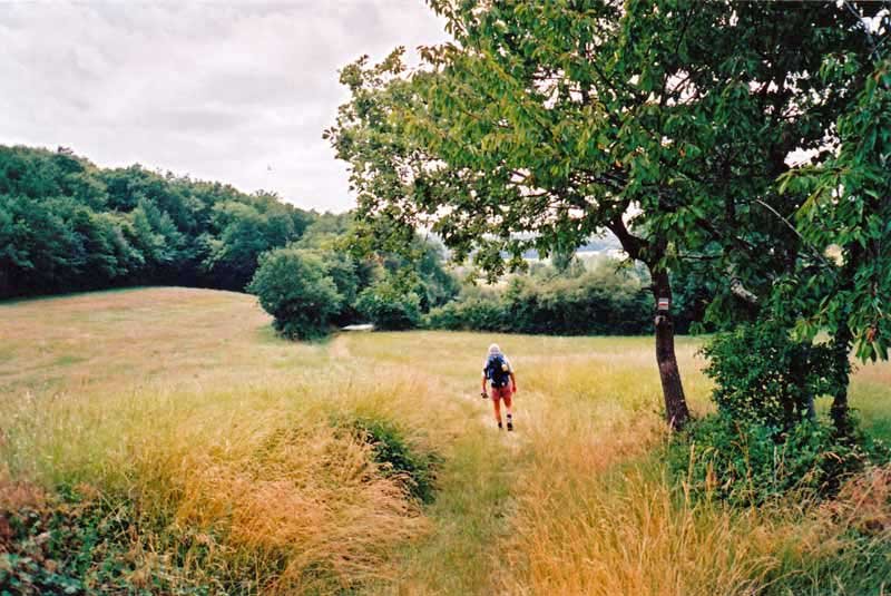 Walking in France: Between L'Ilse-de-Noe and Montesquiou - with a GR sign on the tree