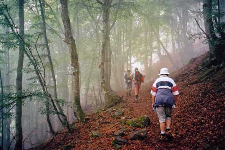 Walking in France: Walking to the cascades from Lesponne