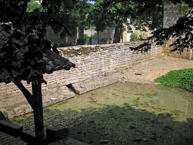Walking in France: Gallo-Roman remains with ancient yews