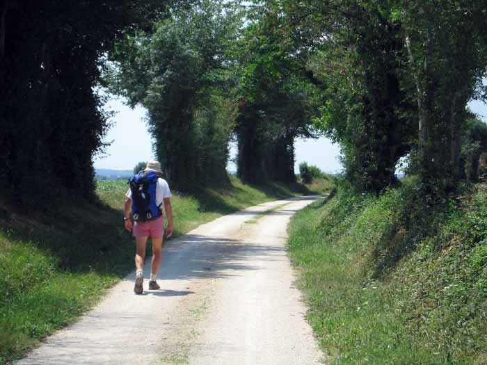 Walking in France: On the way to Brioux
