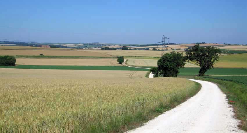 Walking in France: A long and hot winding road