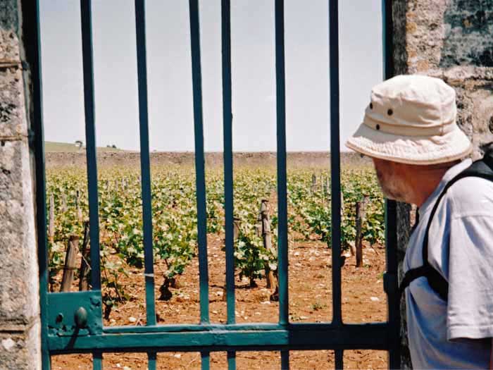 Walking in France: Walled vineyards near Beaune
