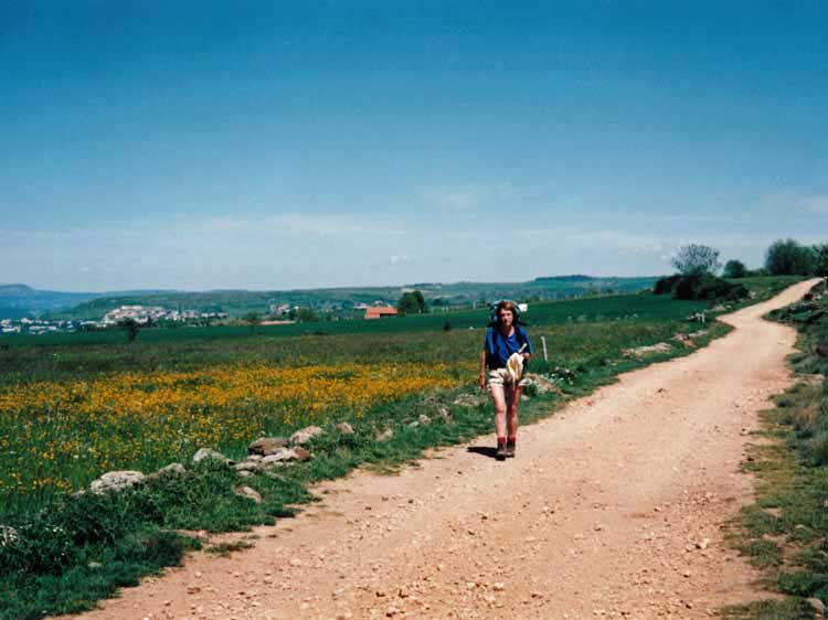 Walking in France: Fields of flowers beside the track
