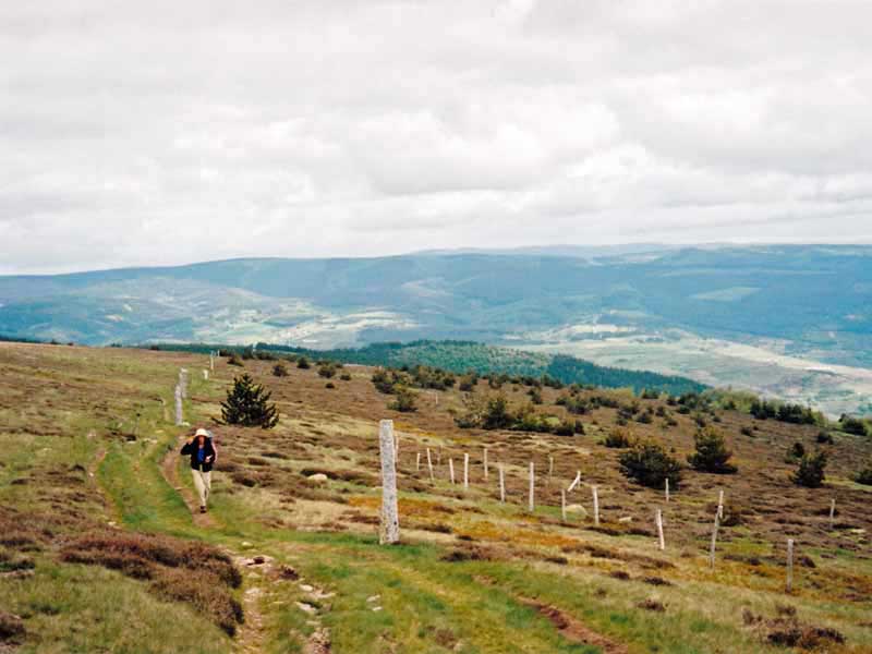 Walking in France: The way up Mont Lozère, marked with a line of gaunt stone poles