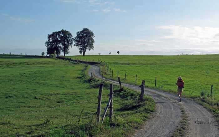 Walking in France: Beautiful walking high above the Vézère