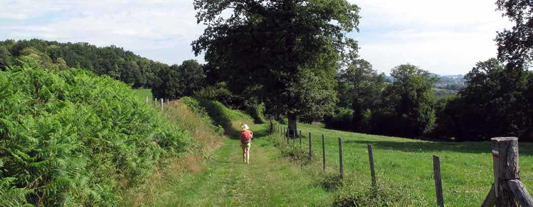 Walking in France: Still following the GR46 through lush farmland approaching Uzerche