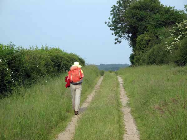 Walking in France: Approaching Champillet