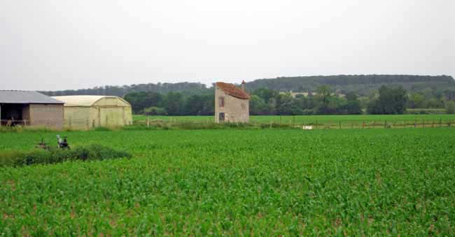 Walking in France: Farms near Chailles