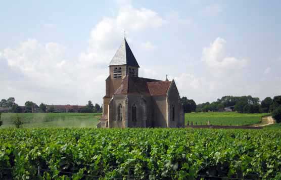 Walking in France: Préhy church surrounded by vines