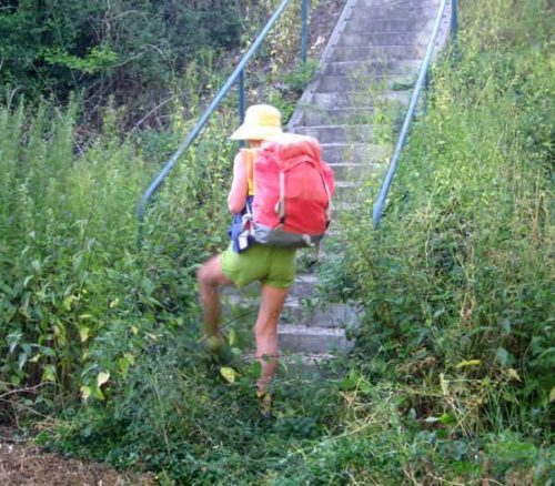Walking in France: Through a patch of nettles to climb up to the railway tracks