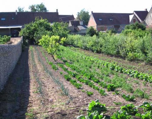 Walking in France: One of the long backyard vegetable gardens in Saint-Claude-de-Diray