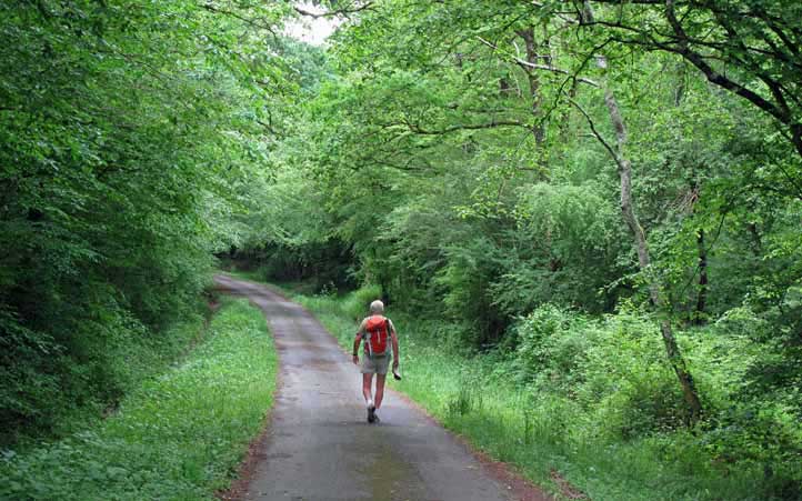 Walking in France: In the forest near Vilaine