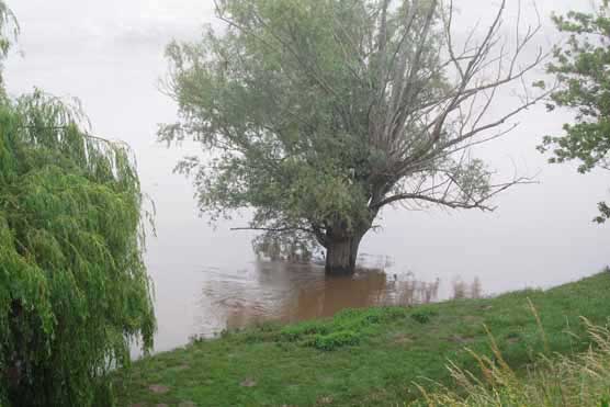 Walking in France: A misty, flooded Dordogne at Bergerac