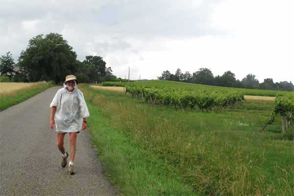 Walking in France: And more rain