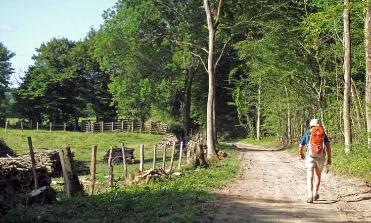 Walking in France: Approaching Sainte-Cécile