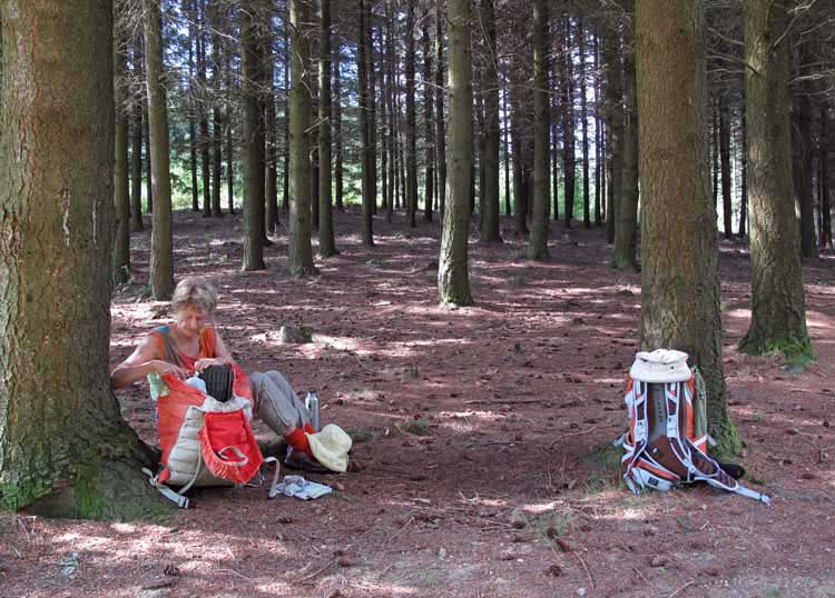 Walking in France: Preparing a snack in the forest of stale bread, with butter and jam