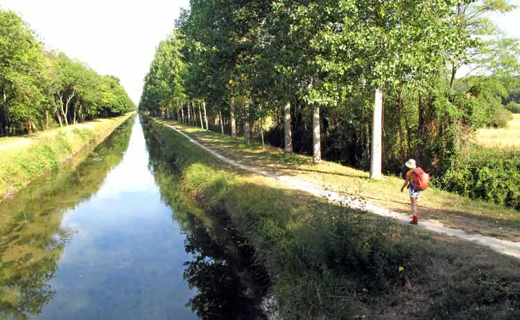 Walking in France: The tree-lined Canal de Berry near Thénioux