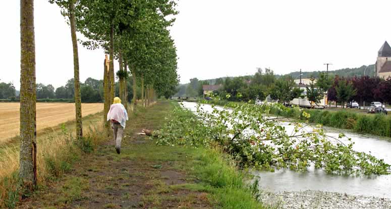 Walking in France: Passing some storm damage near Langon