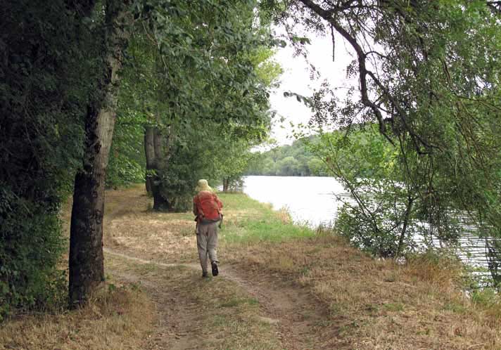 Walking in France: IIn the forest near the château of Chenonceaux