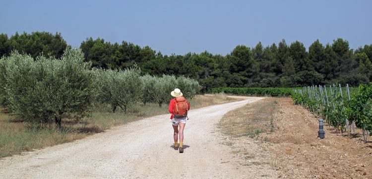 Walking in France: A well chosen shortcut