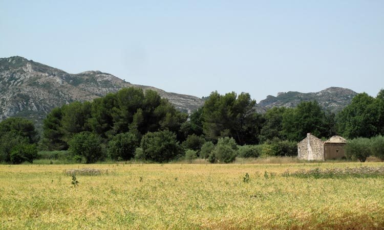 Walking in France: A ruined farmhouse 