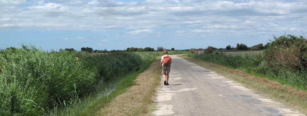 Walking in France: In the Camargue 