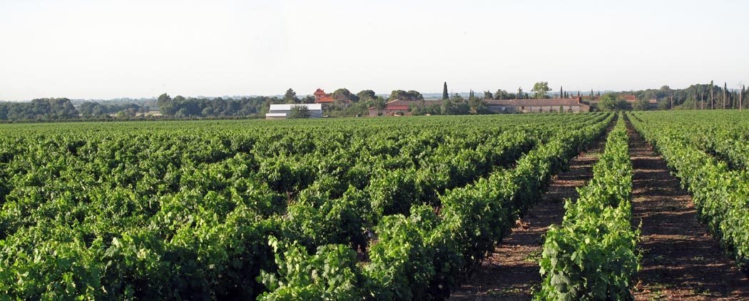 Walking in France: Beside the Canal d'Irrigation du Bas-Rhône Languedoc