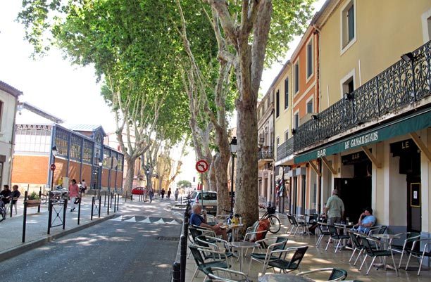 Walking in France: Under the plane trees, Lunel ...