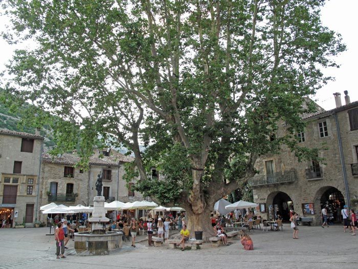 Walking in France: Saint-Guilhem's main square with its gigantic plane tree