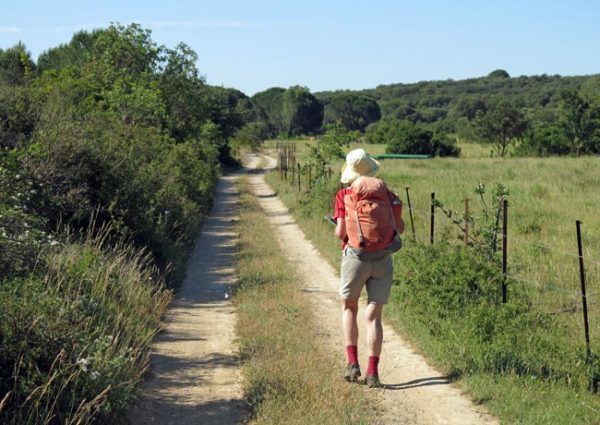 Walking in France: Approaching the garrigue
