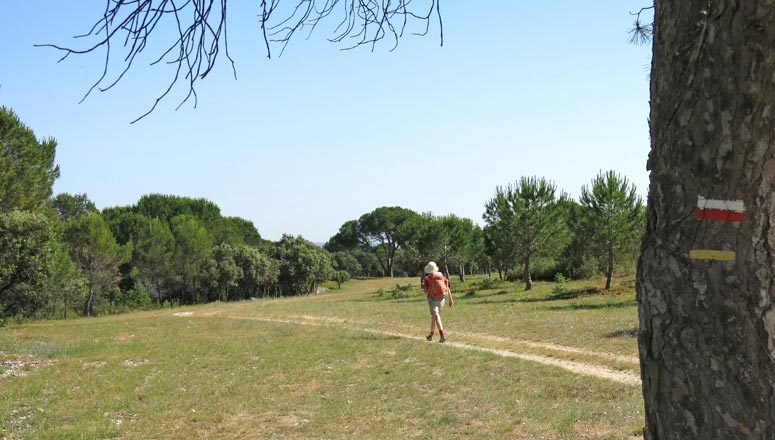 Walking in France: Trapped in a time-warp on the garrigue
