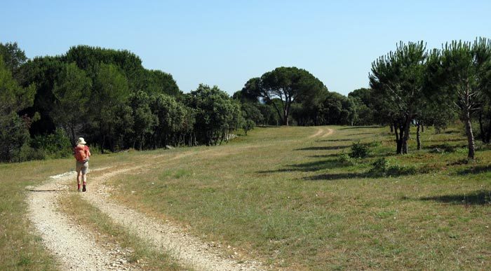 Walking in France: On the way to Nîmes