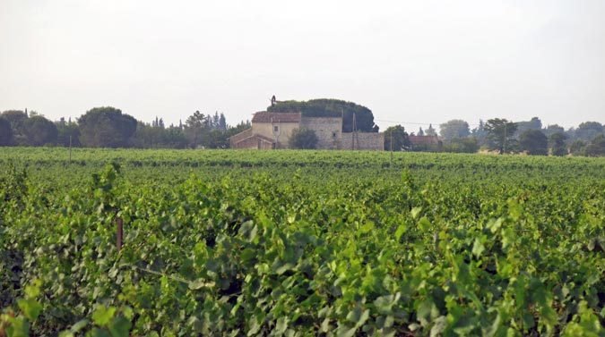 Walking in France: Entering the Costières de Nîmes