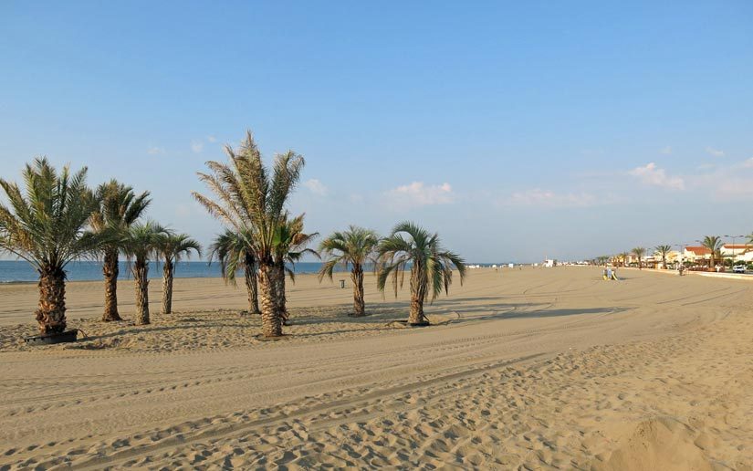 Walking in France: Potted palms on Narbonne Plage