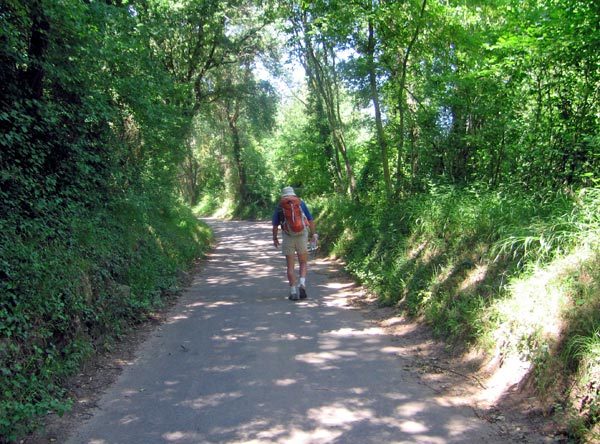 Walking in France: Blessed shade beside the railway line