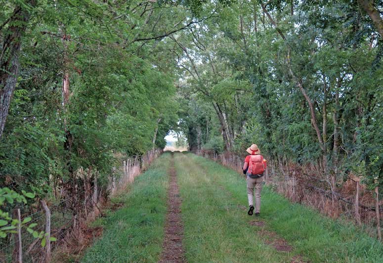 Walking in France: Approaching Millac